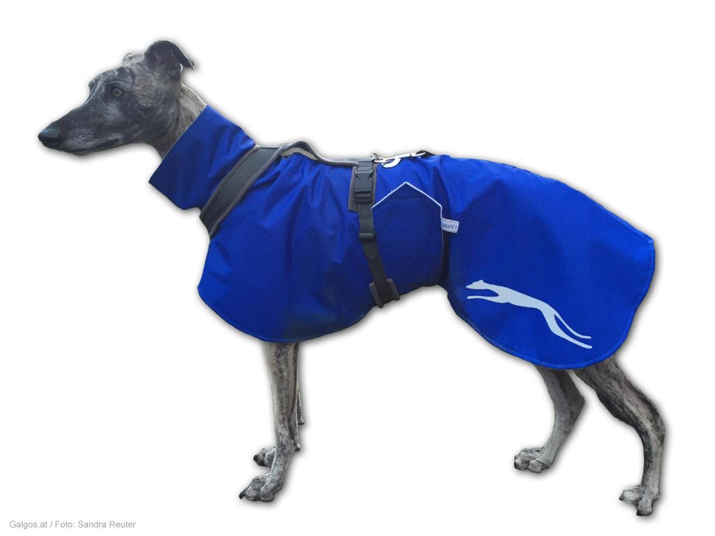 Wintermantel Windhund